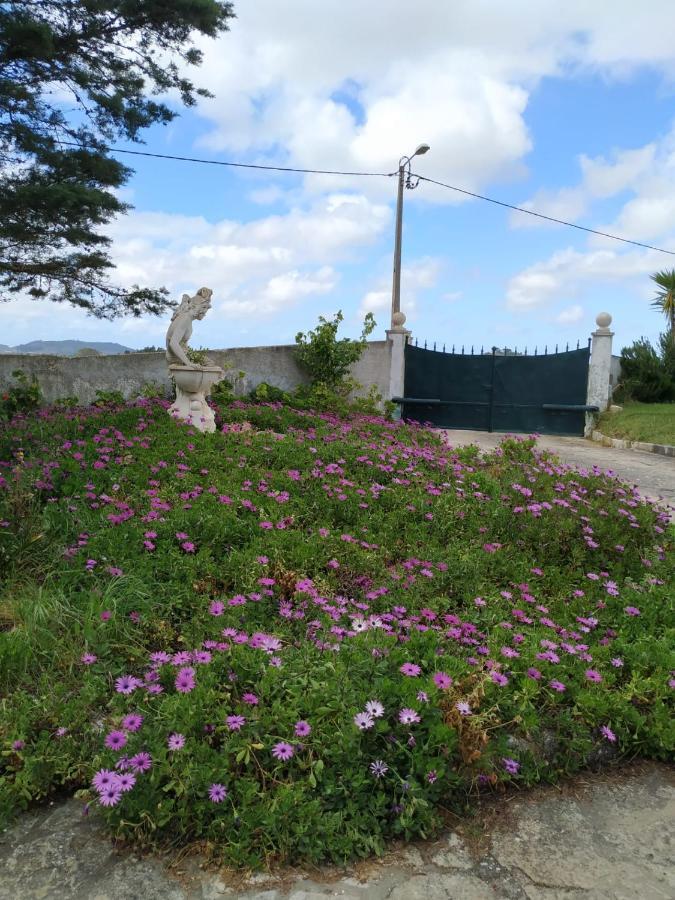 Casal Do Moinho Villa Enxara do Bispo Dış mekan fotoğraf