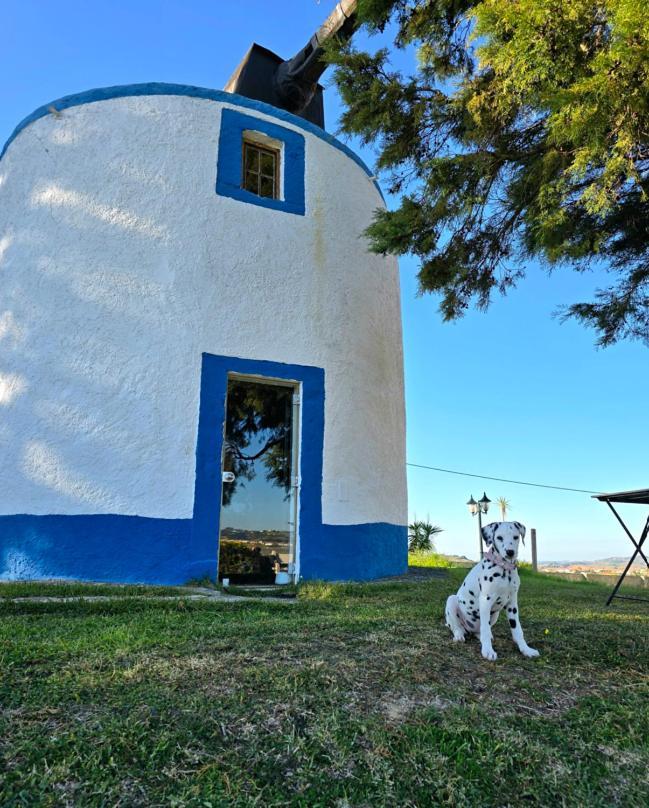 Casal Do Moinho Villa Enxara do Bispo Dış mekan fotoğraf